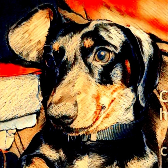 Meet your Posher, Rachelle - Picture 2 of 2